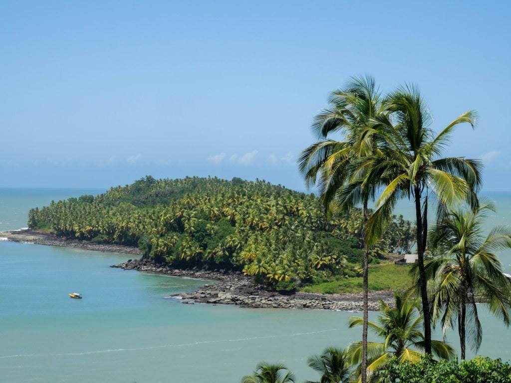 Comprendre la forêt Amazonienne : rendez-vous en Guyane Française