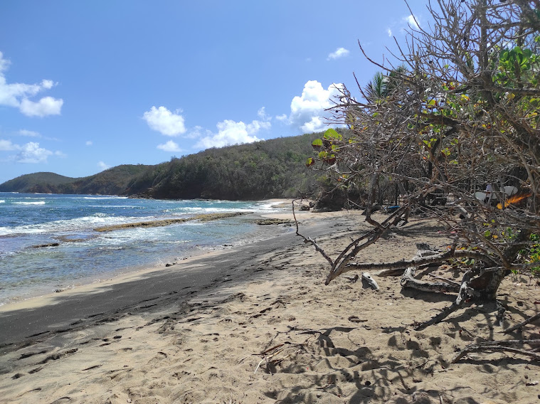 Partir surfer en Martinique : j’ai testé pour vous !