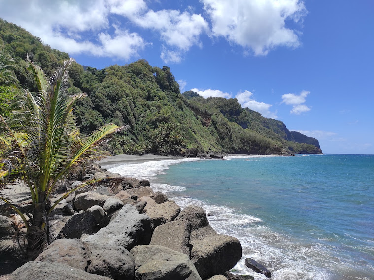 Mélissa a testé pour vous le surf en Martinique !