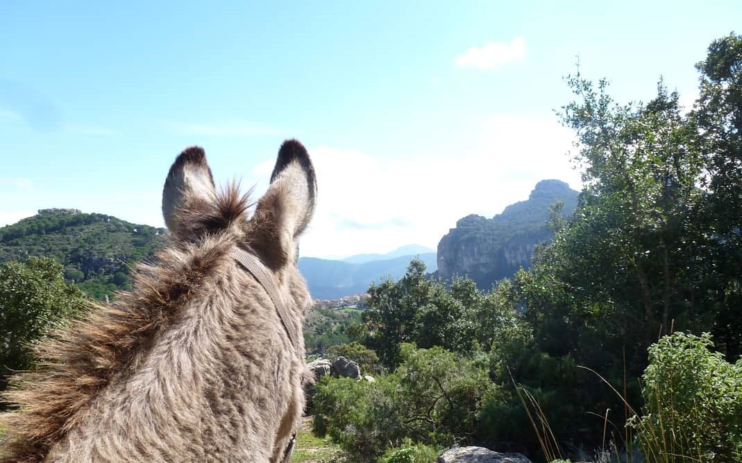 Slow tourisme en Sardaigne