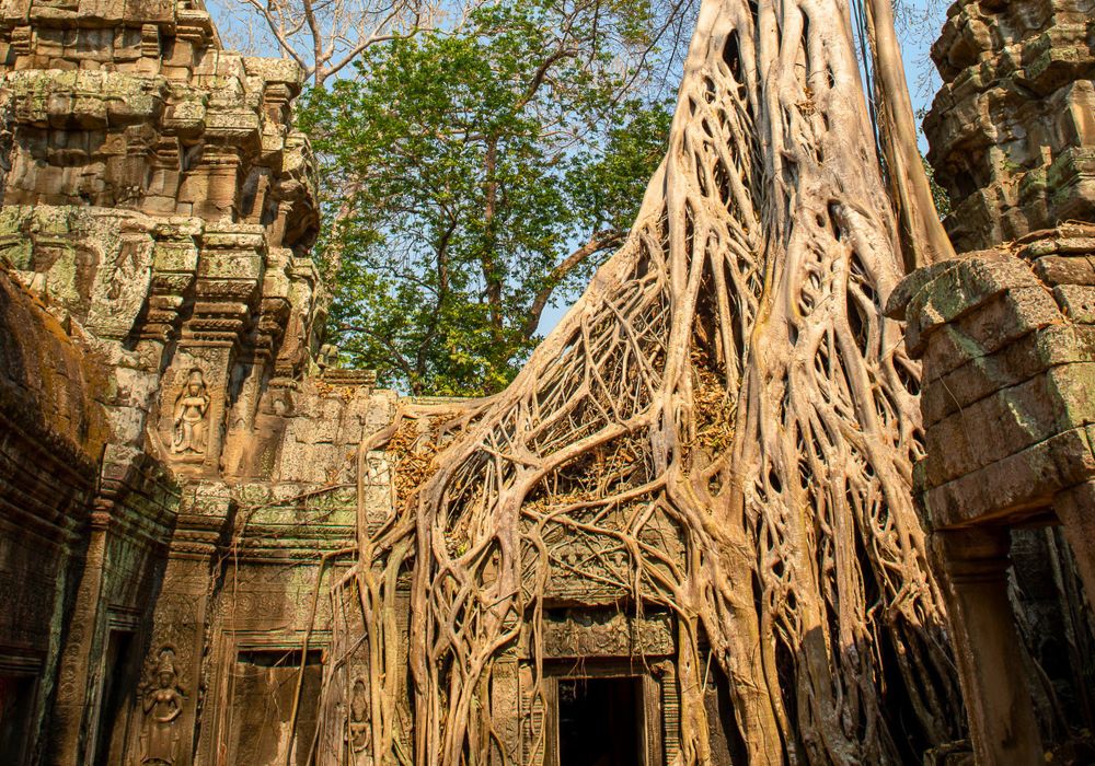 Voyage au Cambodge