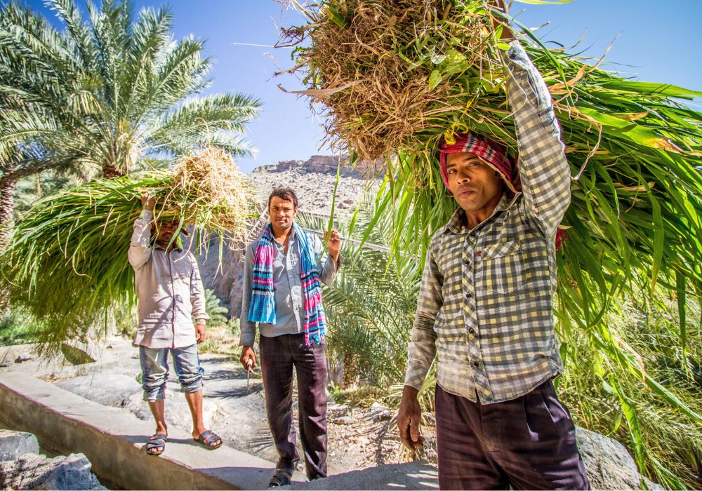 Votre Voyage aux Émirats Arabes Unis, le Qatar et le Sultanat d'Oman