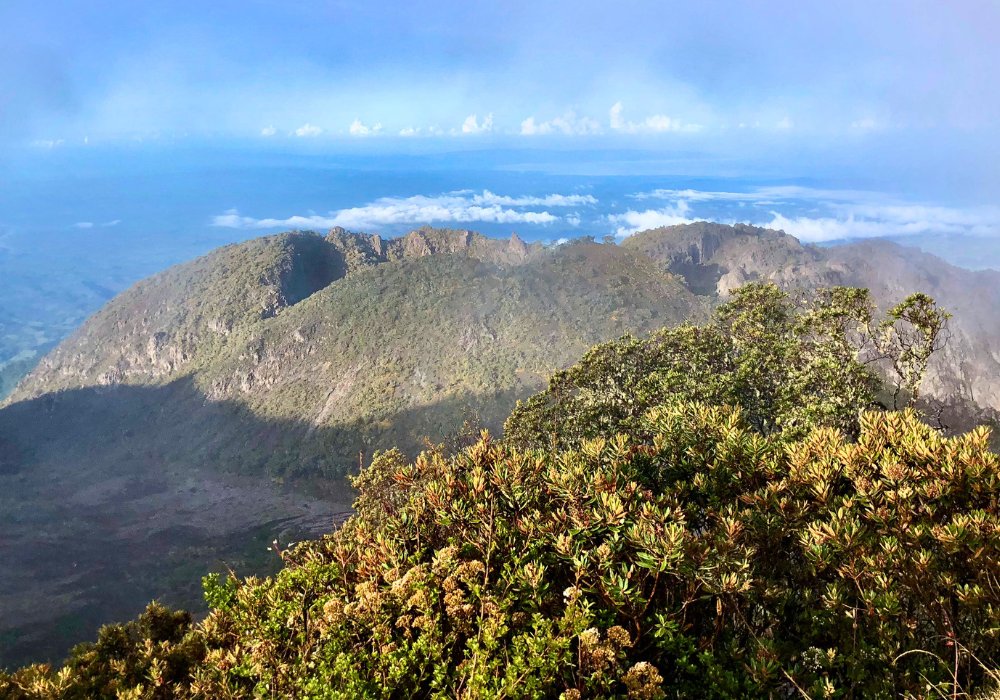 Voyage au Panama - Yon Evasion