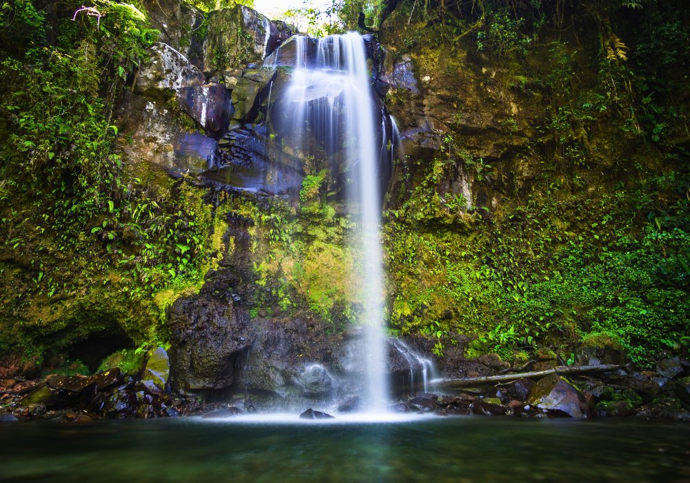 Voyage au Panama - Yon Evasion