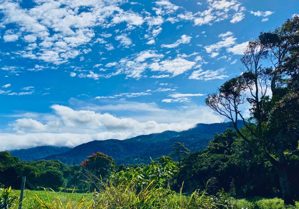 Voyage au Panama - Yon Evasion