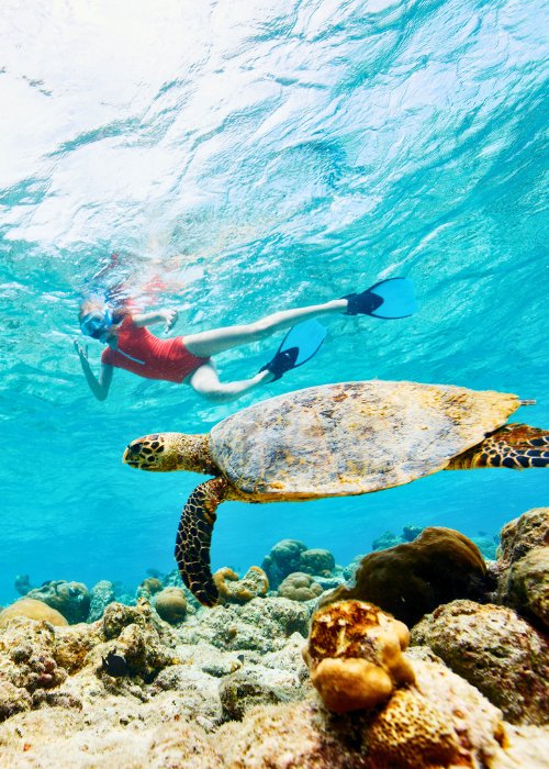 Voyage au Panama - Yon Evasion