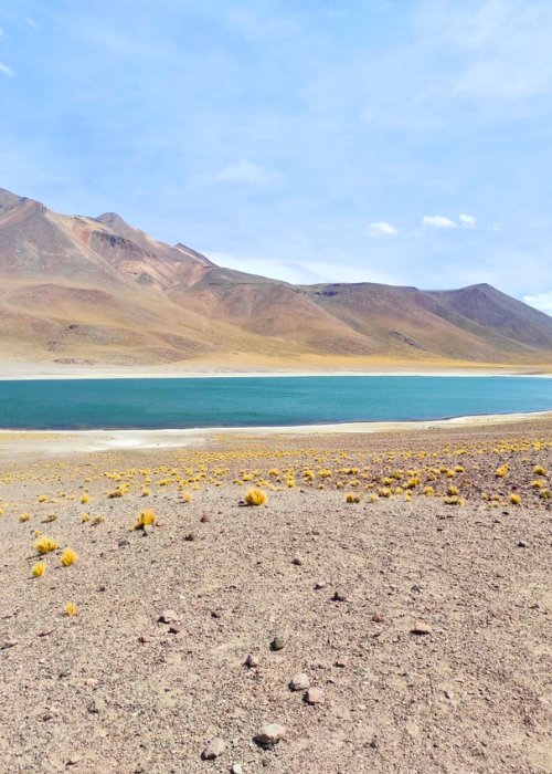 Voyage au Chili - Yon Evasion