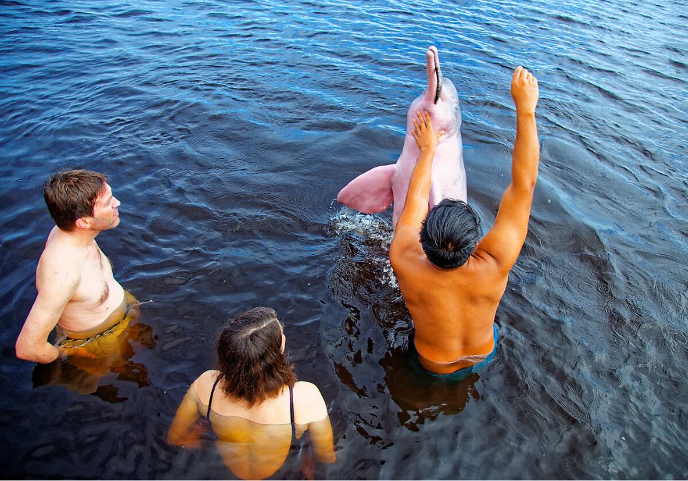 Voyage au cœur de l'Amazonie brésilienne - Naviguez sur l’Amazone
