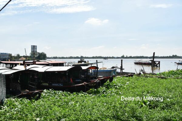 Vietnam_2024©ManexBarace (121)