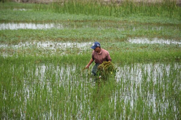 Vietnam_2024©ManexBarace (286)