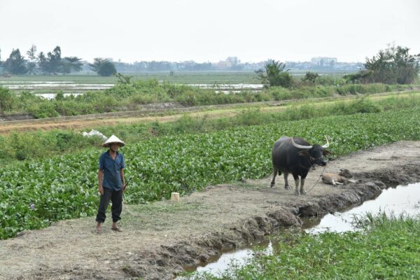 Vietnam_2024©ManexBarace (289)