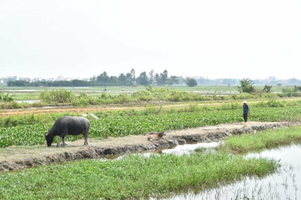 Vietnam_2024©ManexBarace (291)