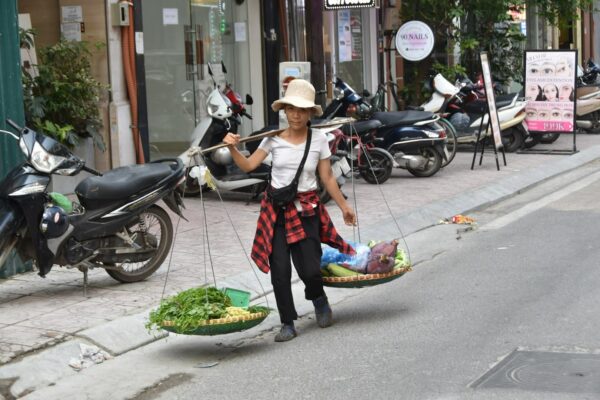 immersion vietnam