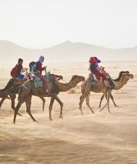 Voyage entre amis