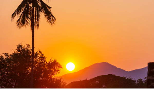 Coucher de soleil sur des collines avec un palmier à gauche et des arbres en silhouette, ciel orange vif.