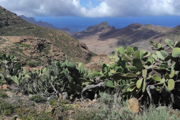 Paysage montagneux aride avec des cactus, ciel nuageux et vue sur l'océan à l'horizon, îles Canaries.