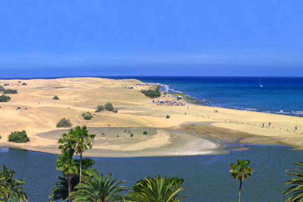 dunas-maspalomas-charca