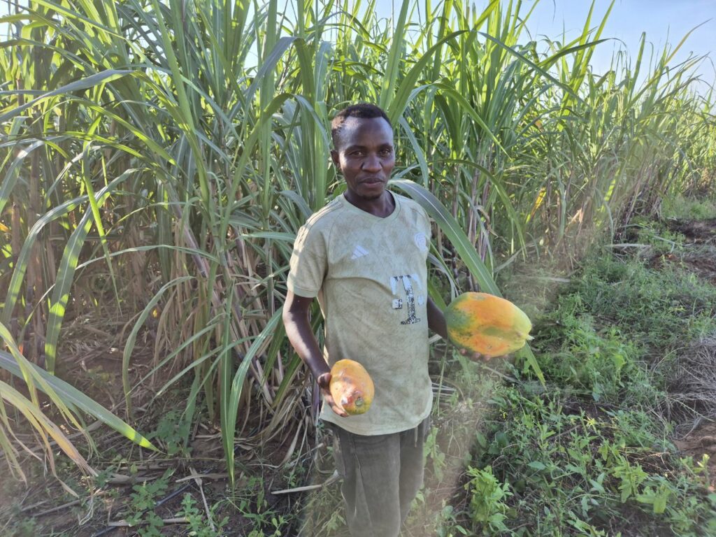 Tanzanie safari agence de voyage Biarritz