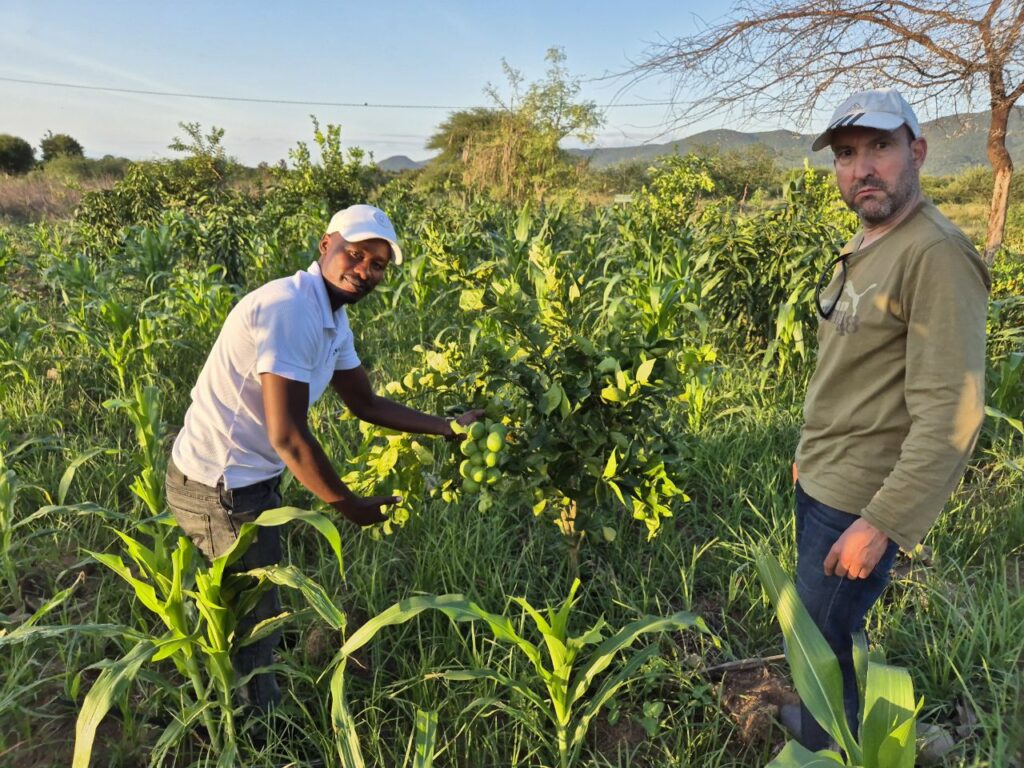 Tanzanie safari agence de voyage Biarritz