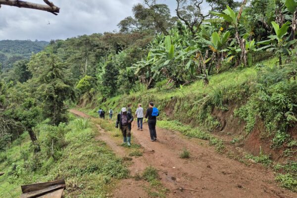 Tanzanie safari agence de voyage Biarritz