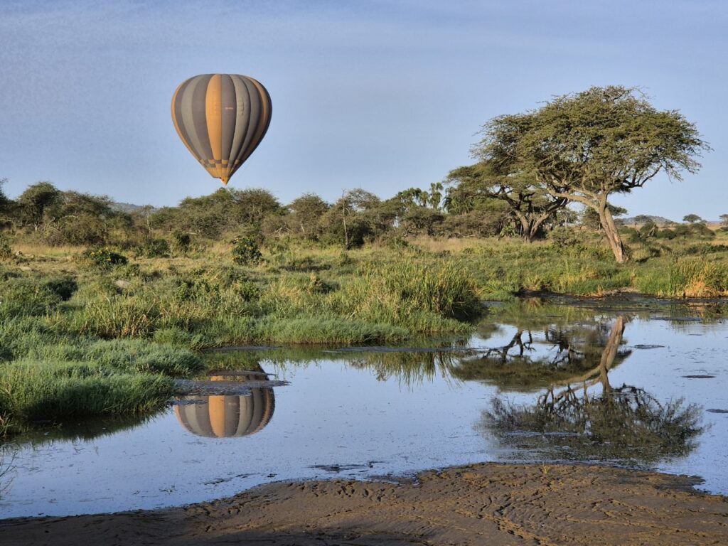 Tanzanie safari agence de voyage Biarritz