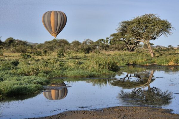 Tanzanie safari agence de voyage Biarritz
