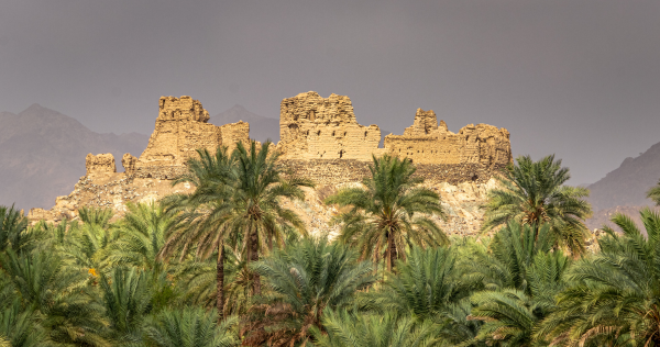 Voyage au Sultanat d'Oman