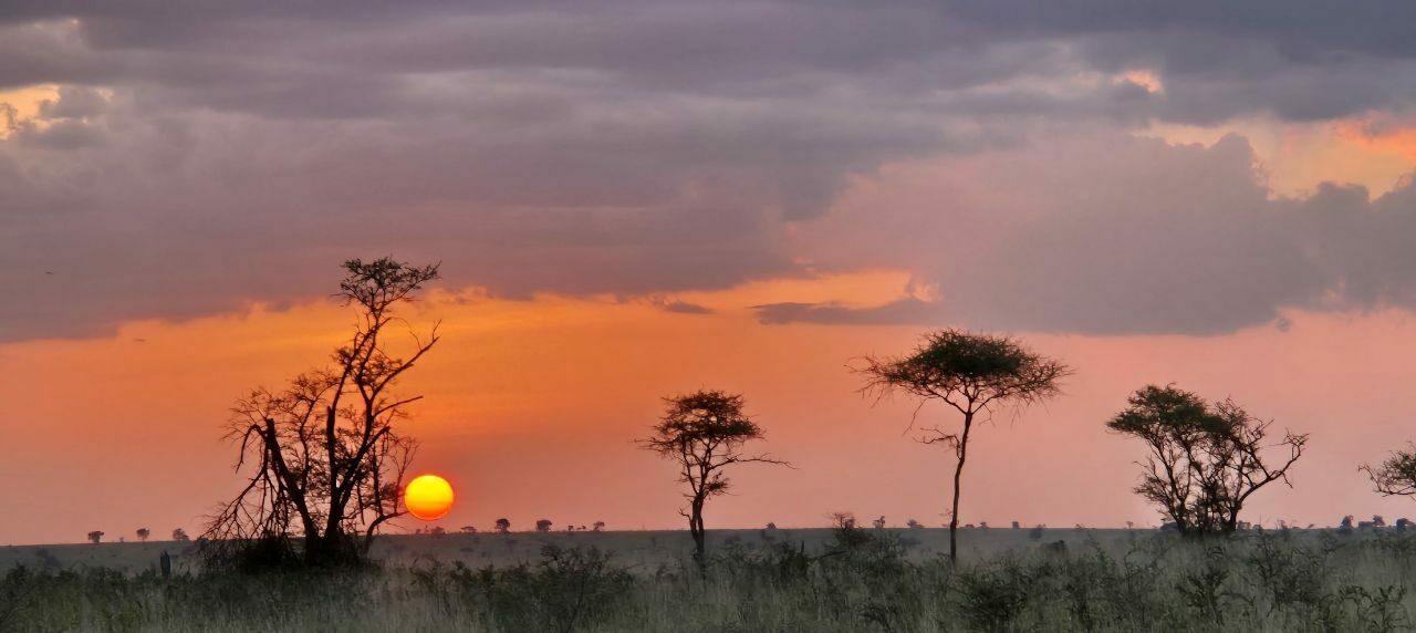 La Tanzanie en immersion