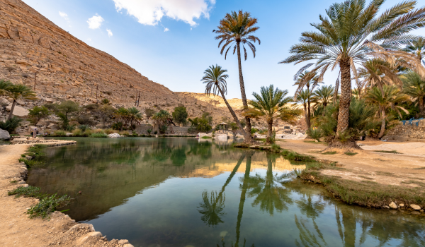 Oasis entourée de palmiers et montagnes désertiques sous un ciel bleu partiellement nuageux.