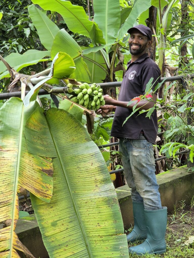 Tanzanie safari agence de voyage Biarritz