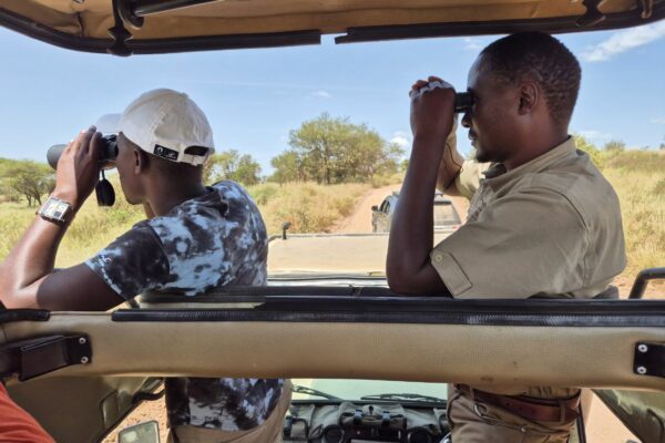 Tanzanie safari agence de voyage Biarritz