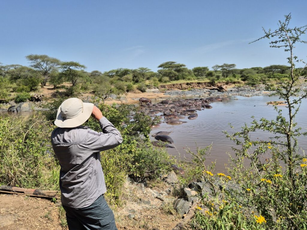 serengeti-safari-ondres-agence-voyage-sur-mesure