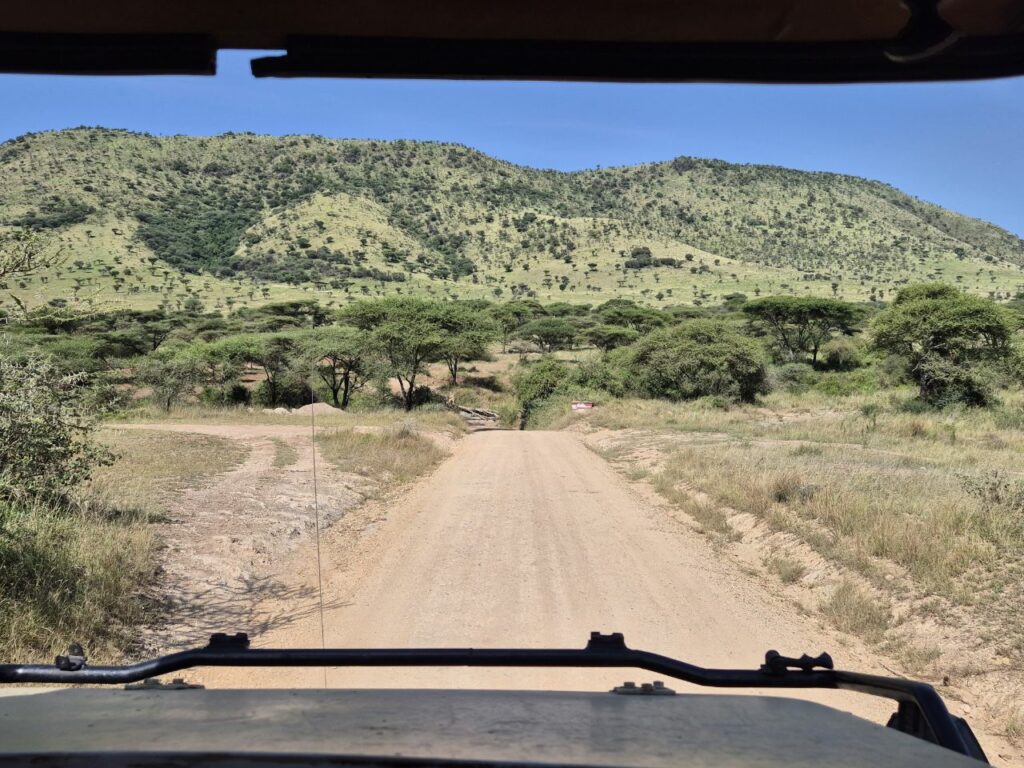 Route de terre bordée d'arbres menant vers une colline verte sous un ciel bleu en Tanzanie.