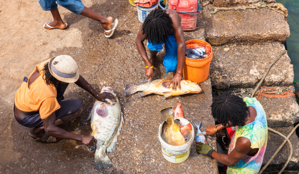 hotel-sal-boa-vista-saison