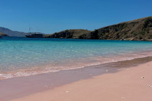 Pink beach avec contraste entre le sable rose et l'eau cristalline