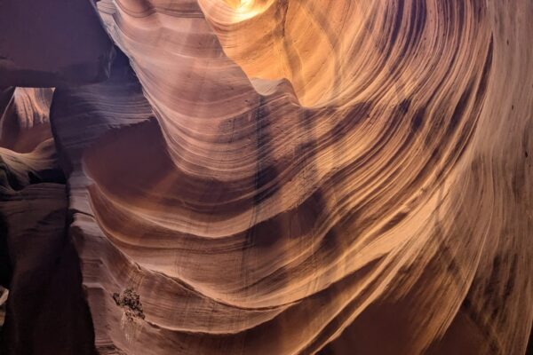 2ca9868e-0461-49ff-91fb-eec8ece55603