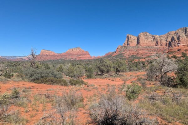 b1872834-0b68-4fa0-9951-194c8ab1f2b8