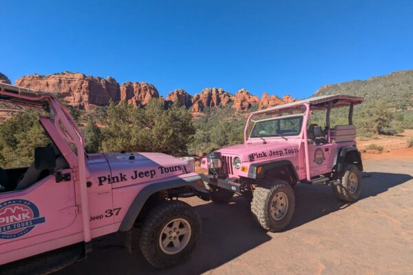 b97ab48f-d4c8-4d94-9e5d-6b7035355ff4