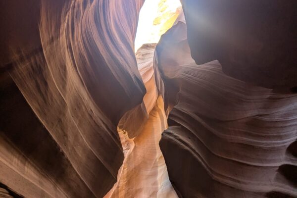 f3de46eb-3188-47b1-ac9a-e50cd1163451