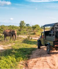 Destination insolite