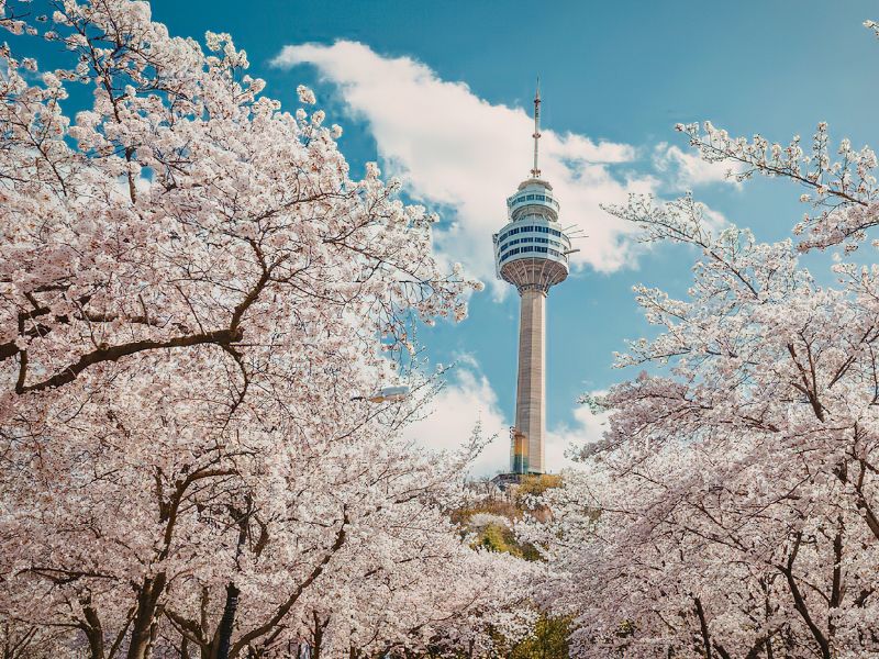 voyage sur mesure en Corée du Sud