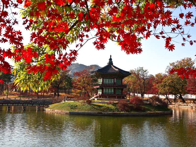 voyage sur mesure en Corée du Sud