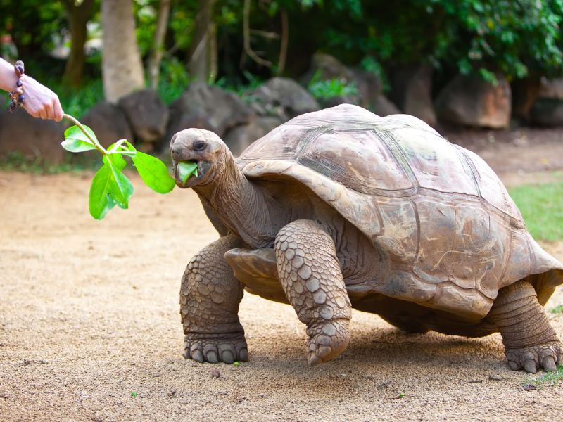 voyage sur mesure aux Seychelles