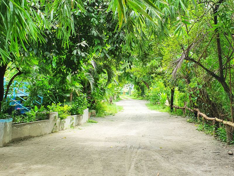 voyage sur mesure aux Seychelles