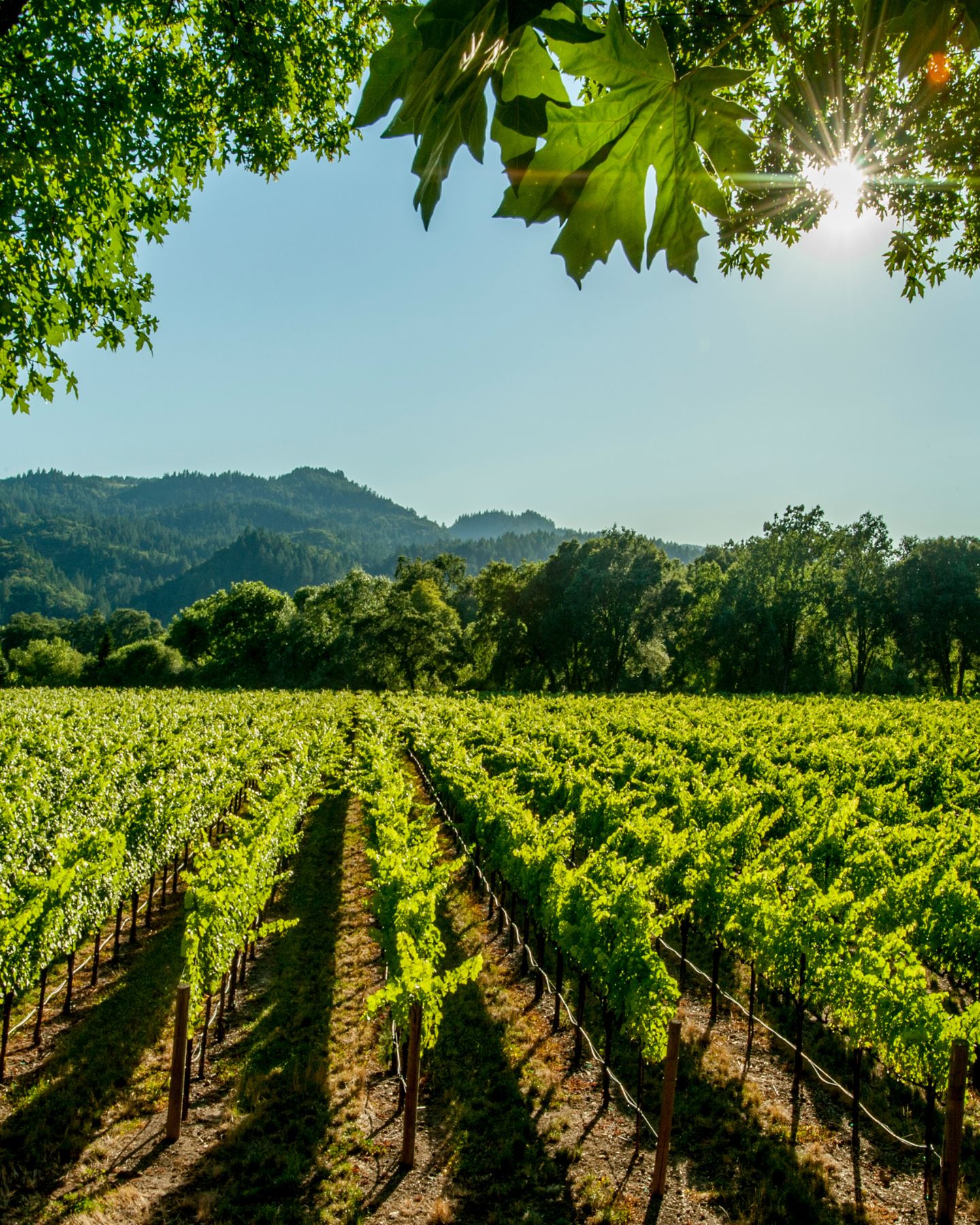 voyage sur mesure en Sicile