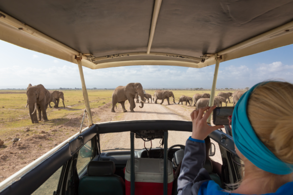 voyage sur mesure tanzanie safari