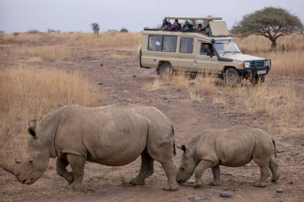 voyage sur mesure tanzanie safari