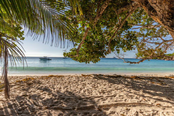 voyage sur mesure tanzanie safari