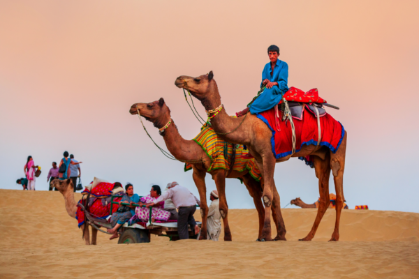 Rajasthan-evasion-ondres