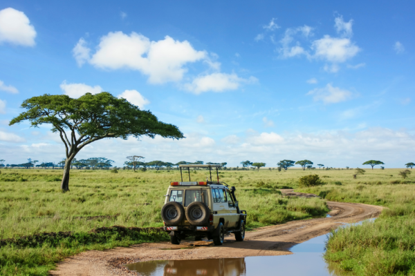 voyage sur mesure tanzanie safari